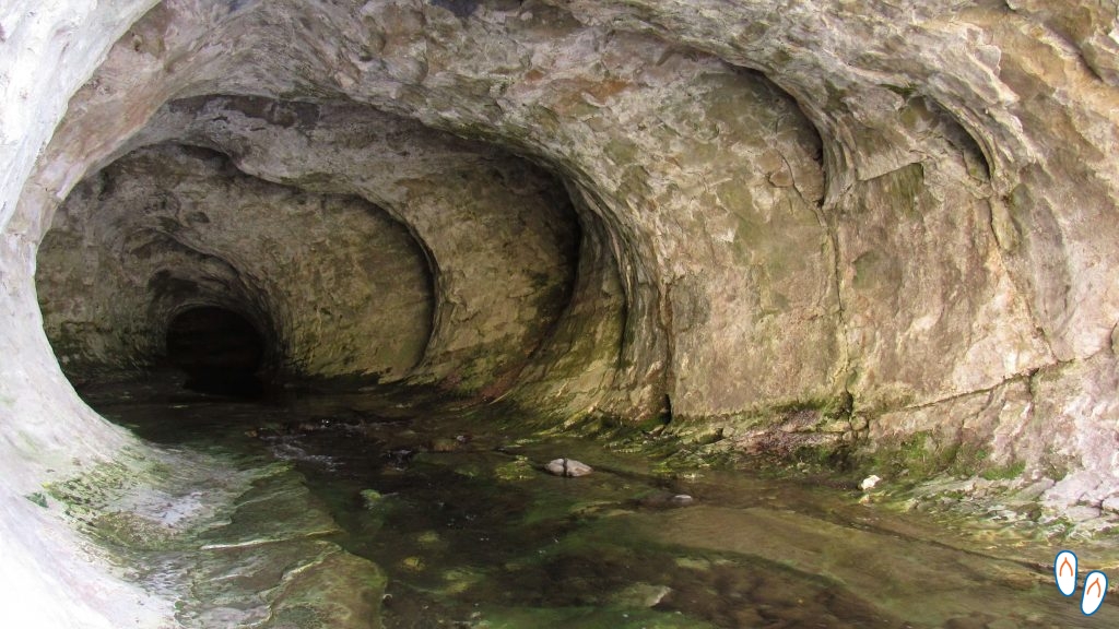 Cave Strea, Scenic Reserve