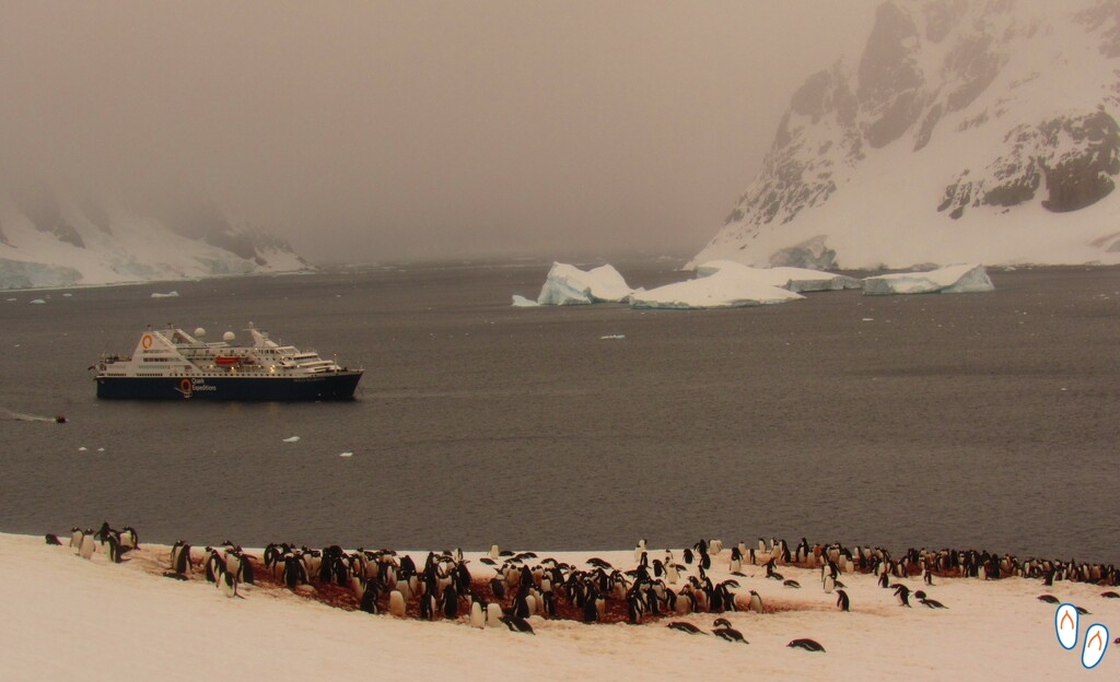 Visual na Antártida
